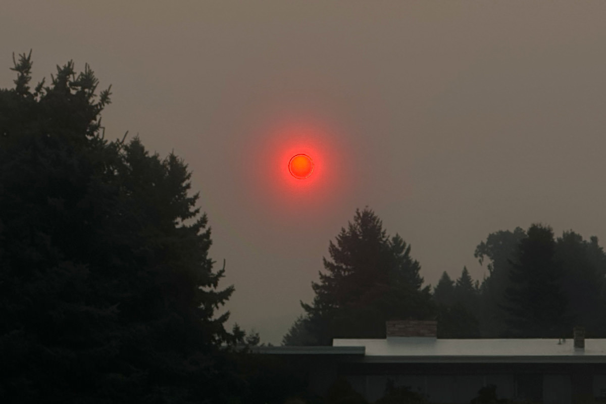 Smokey skies have made the sun deep red and dangerous-looking!