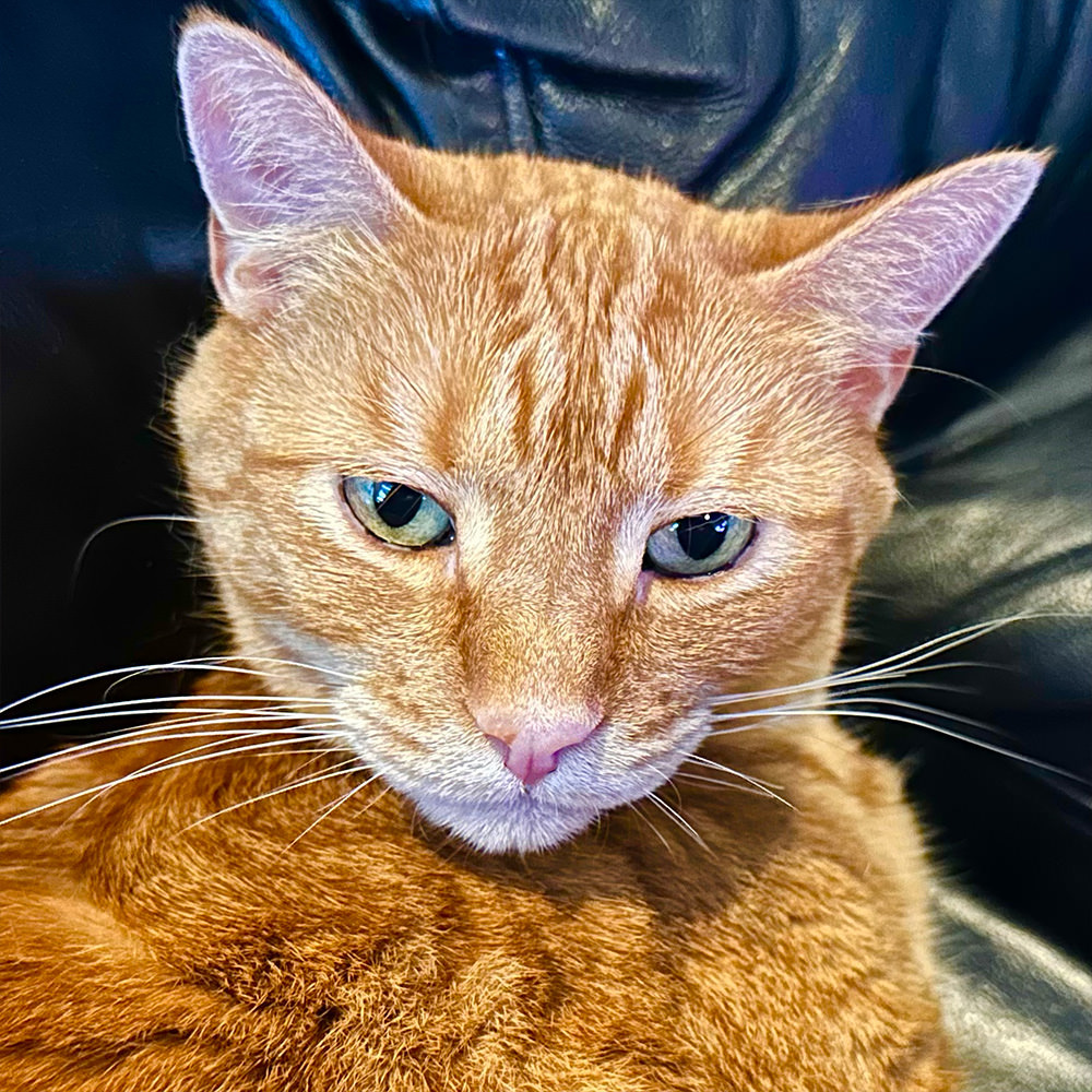 Jenny giving me the stare of death.