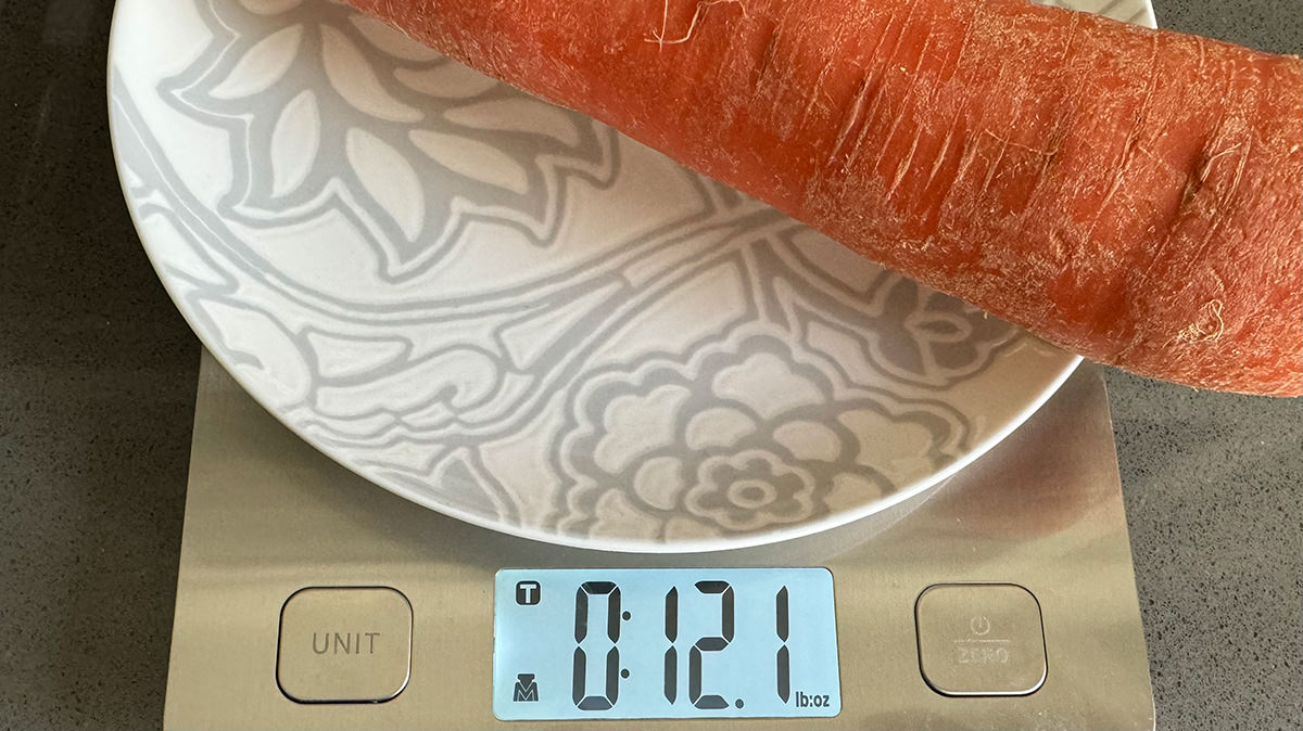 Weighing my MASSIVE CARROT!