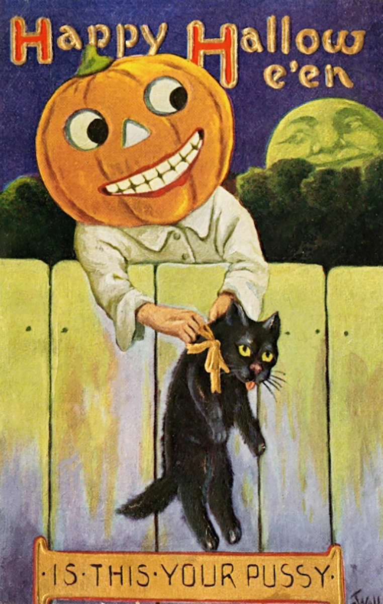 Halloween pumpkin holding up a black cat saying IS THIS YOUR PUSSY?