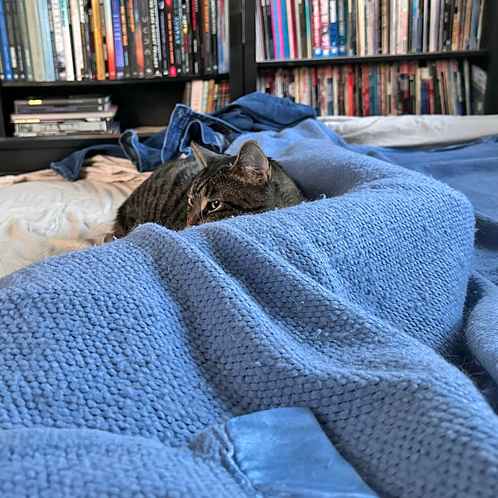 Jake snuggled up next to me.