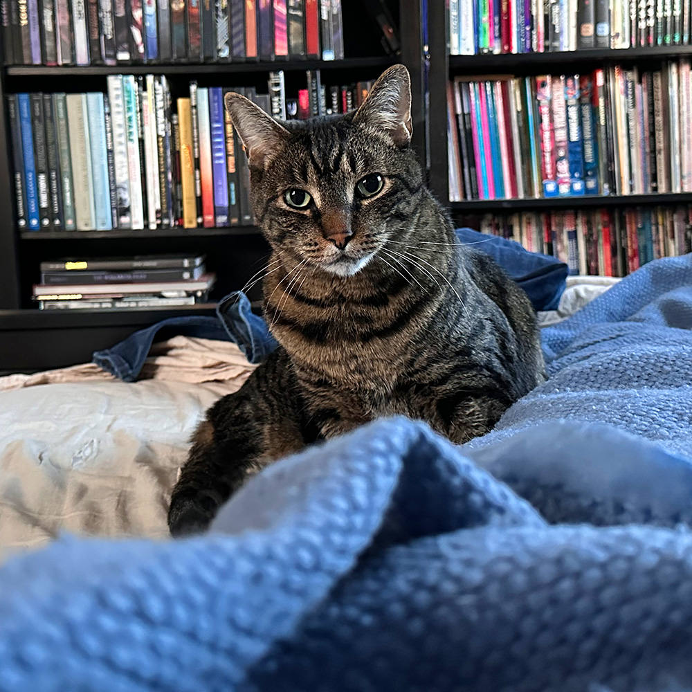 Jake looking at me.