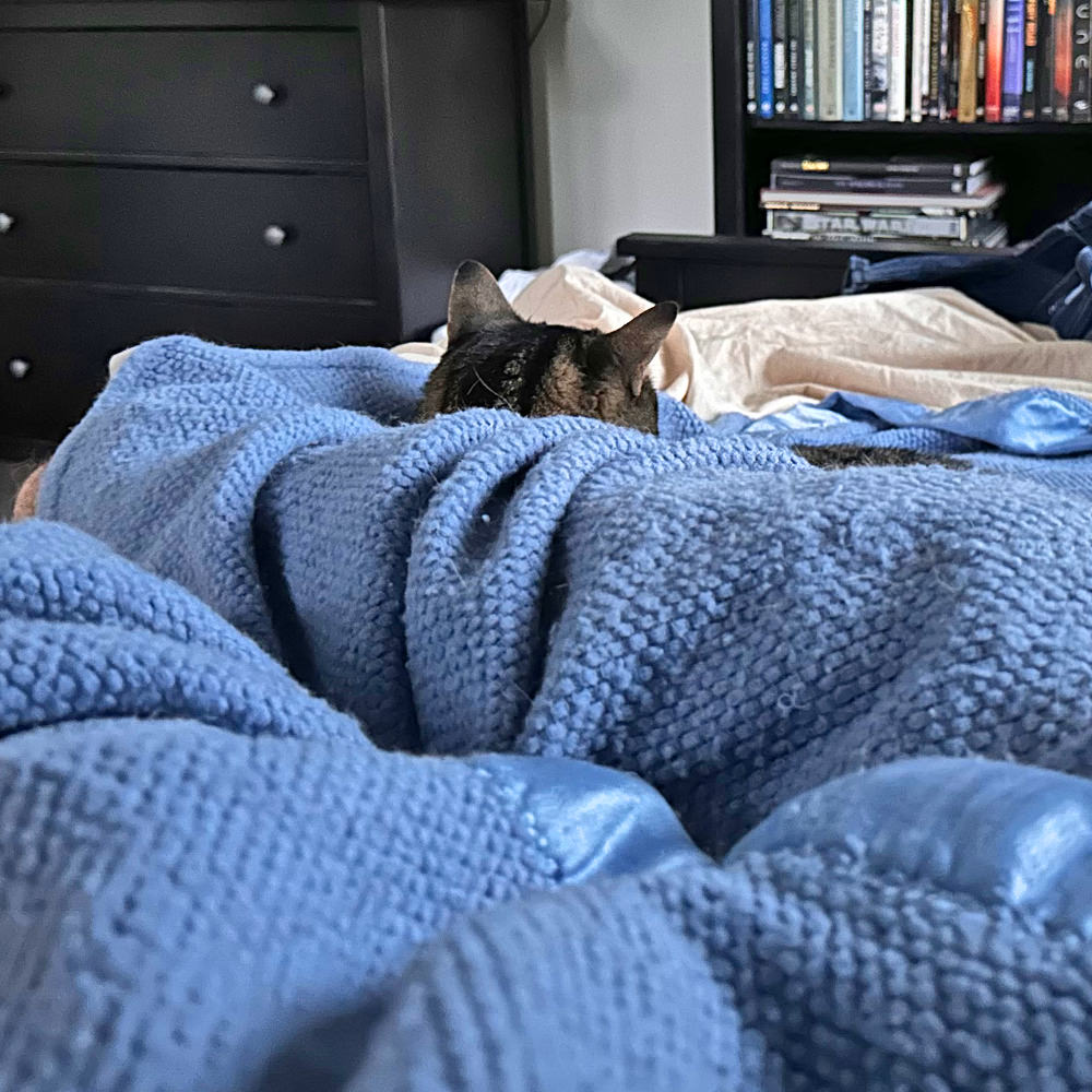 Jake snuggled up behind my knees.