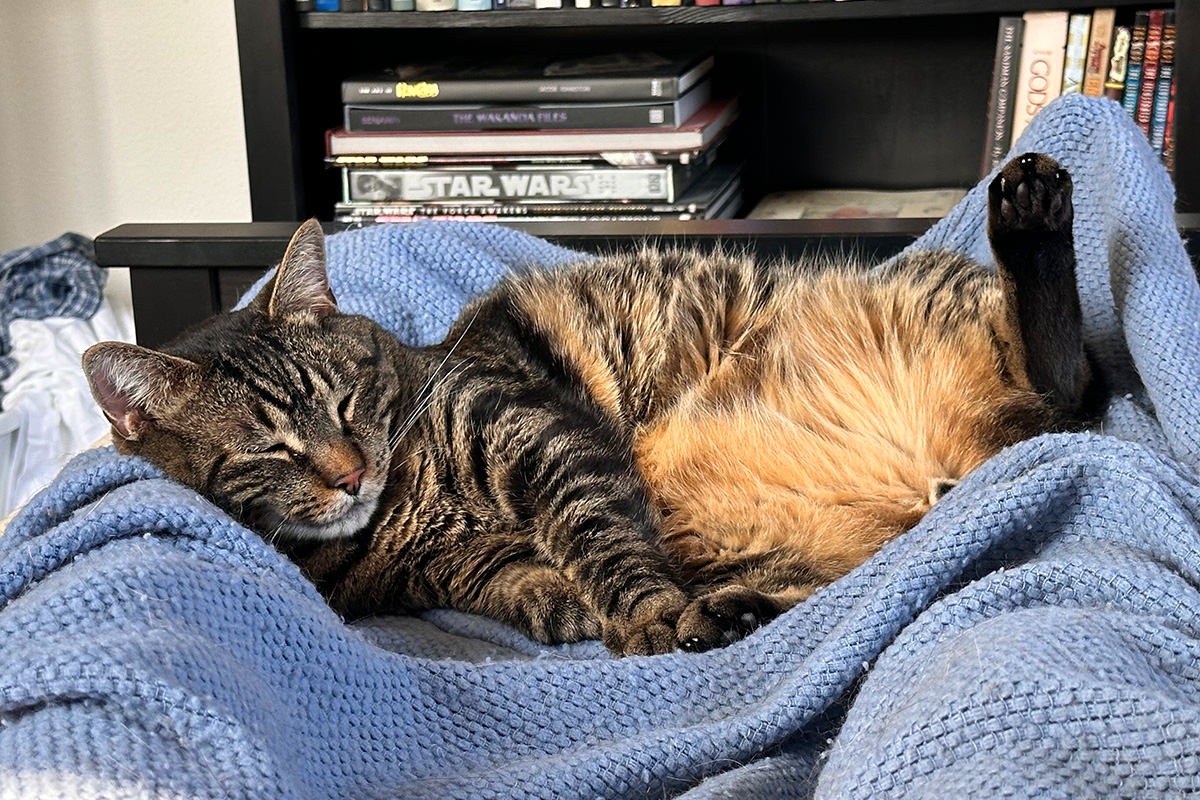 Jake sleeping on my feet.