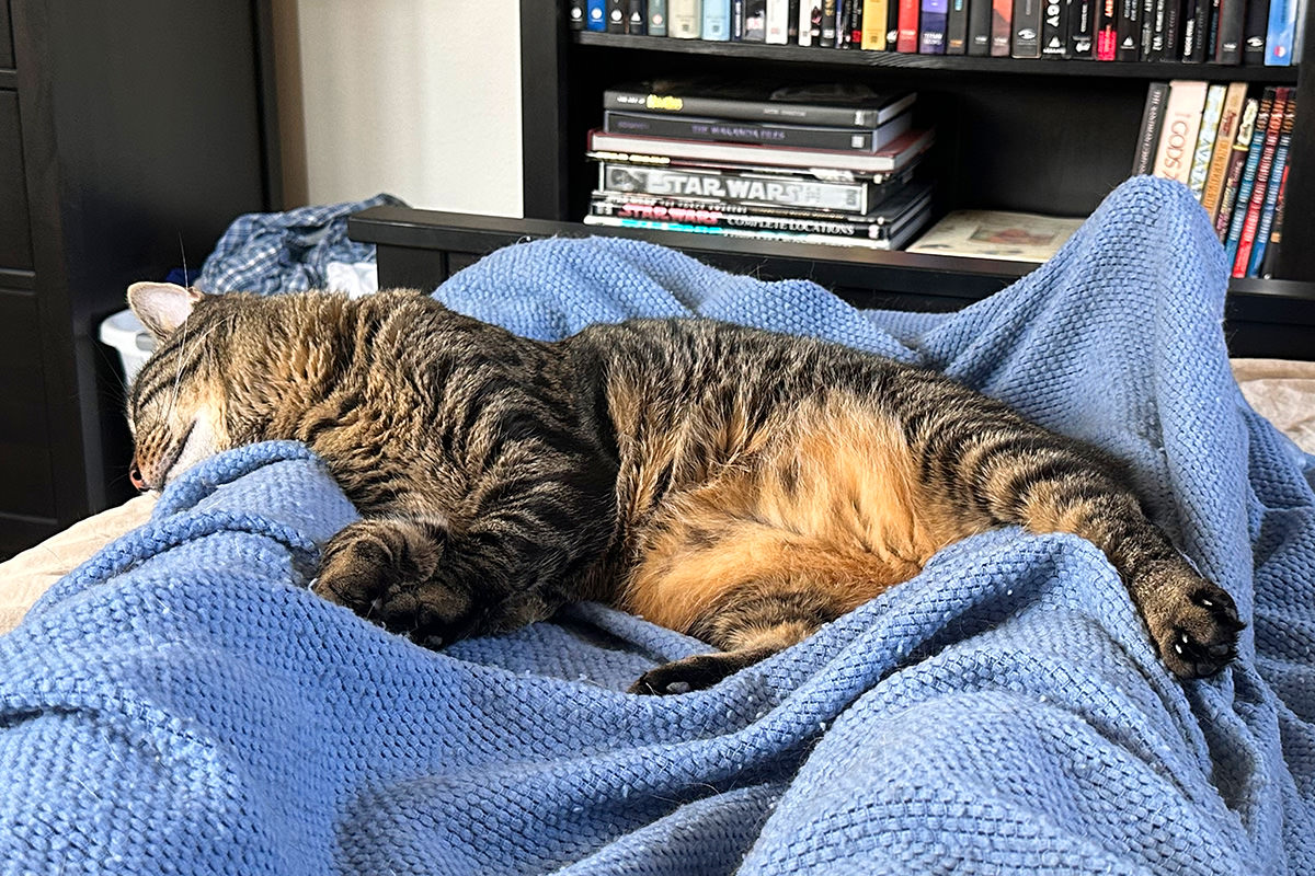 Jake sleeping on my feet.