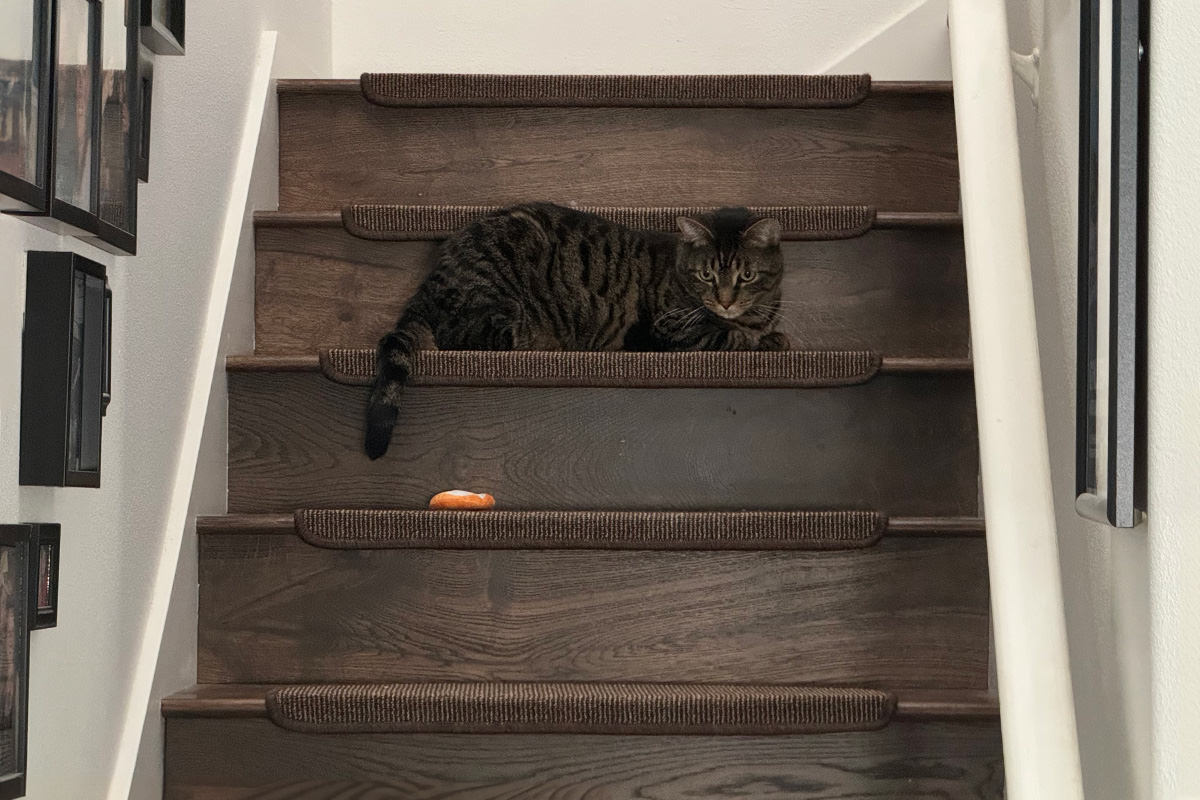 Jake being leary of the Halloween toys on the stairs.