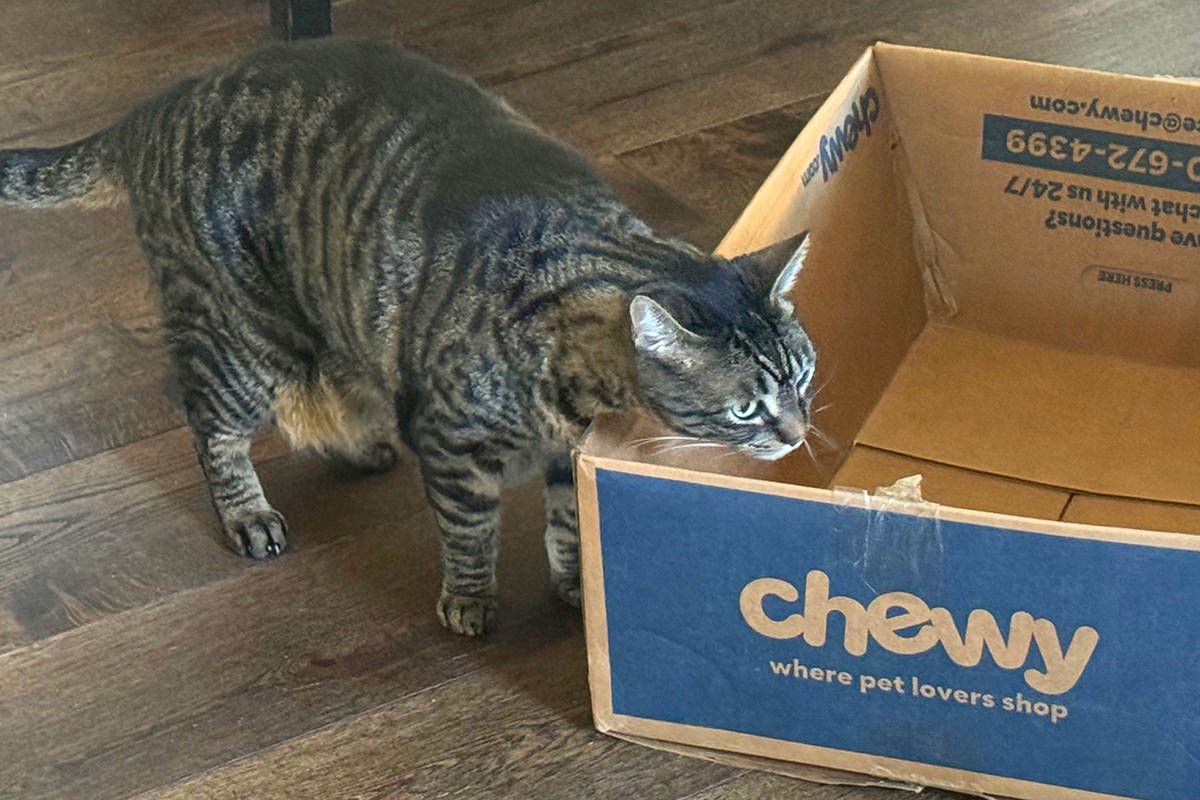 Jake's Shipping Box Exam
