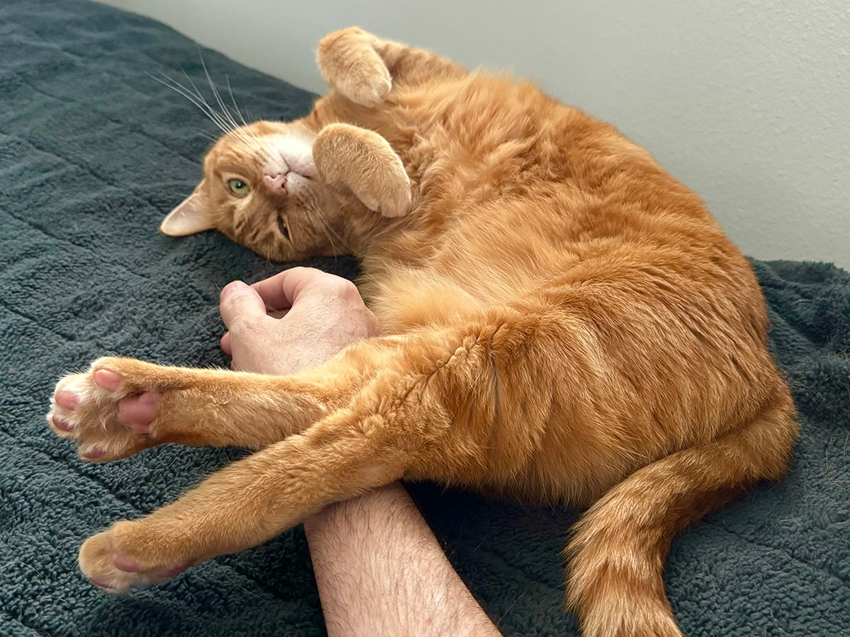 Jenny stretching out across my arm.
