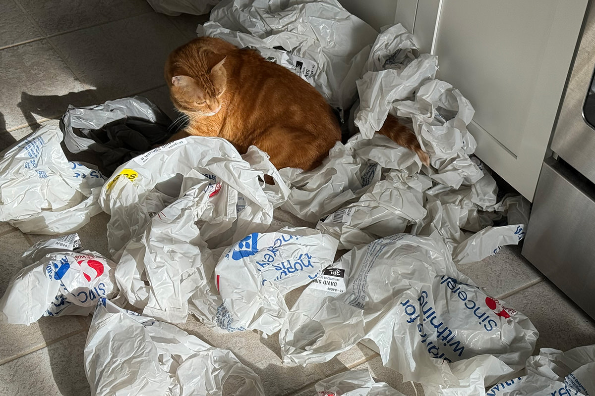 Jenny sitting in grocery bags