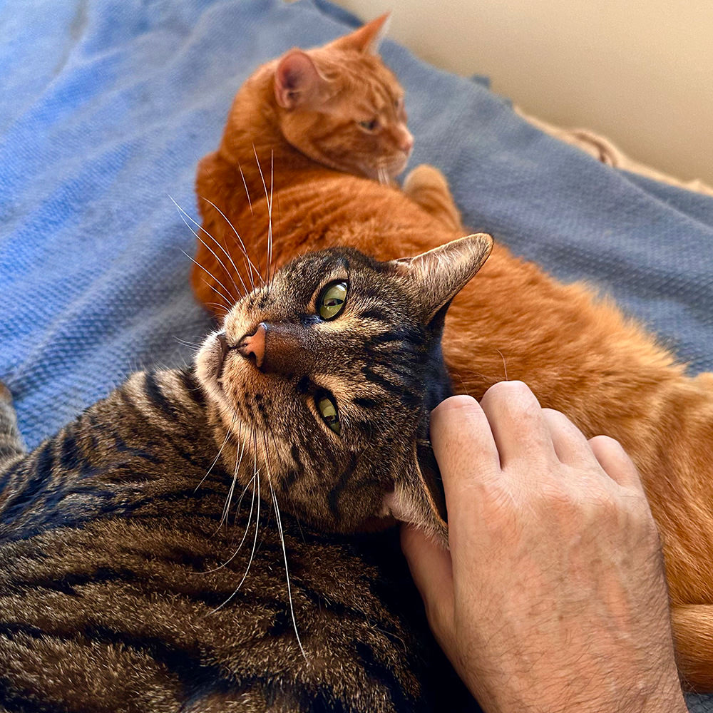 Jake using Jenny as a pillow.