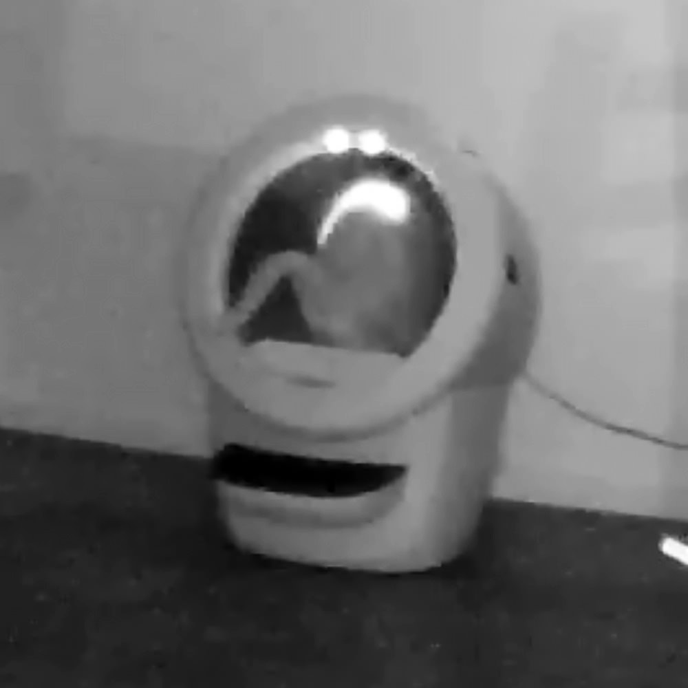 Jenny's butt hanging out of the Litter-Robot.