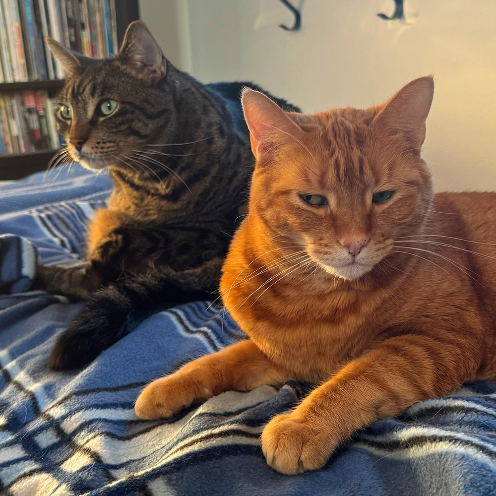 Jake and Jenny on the bed with me...