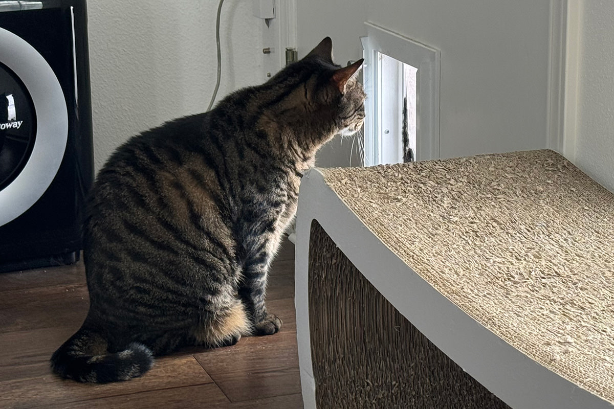 Jake looking outside.