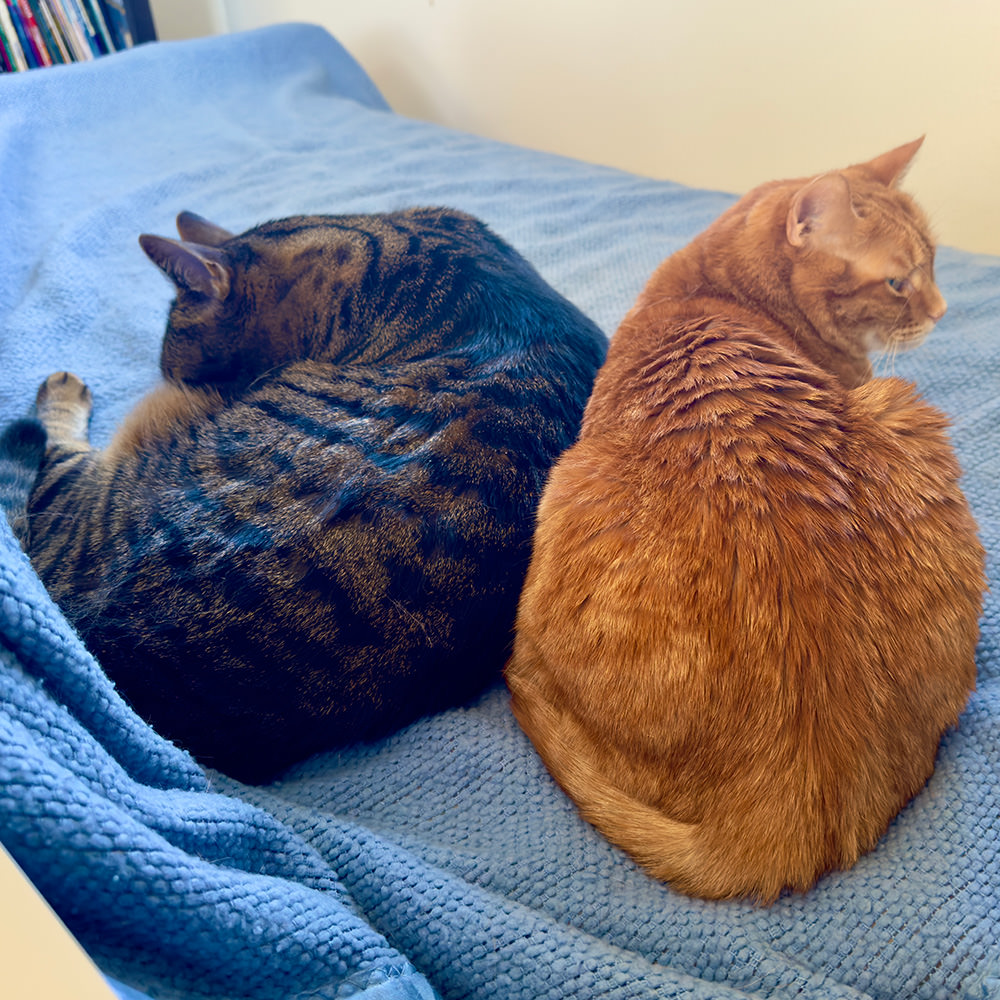 Jake and Jenny next to me on my bed.