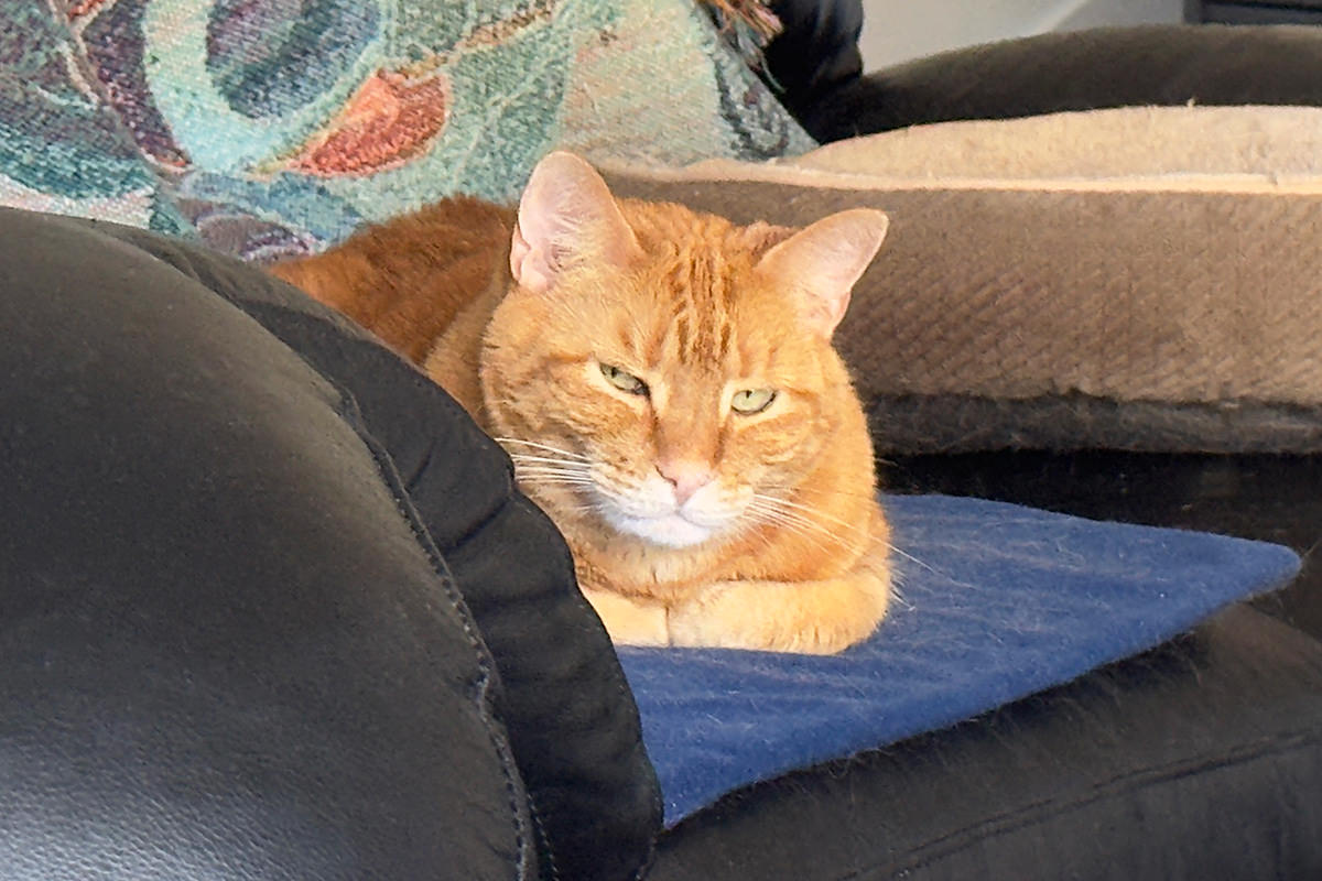 Jenny, glaring at Jake and me.