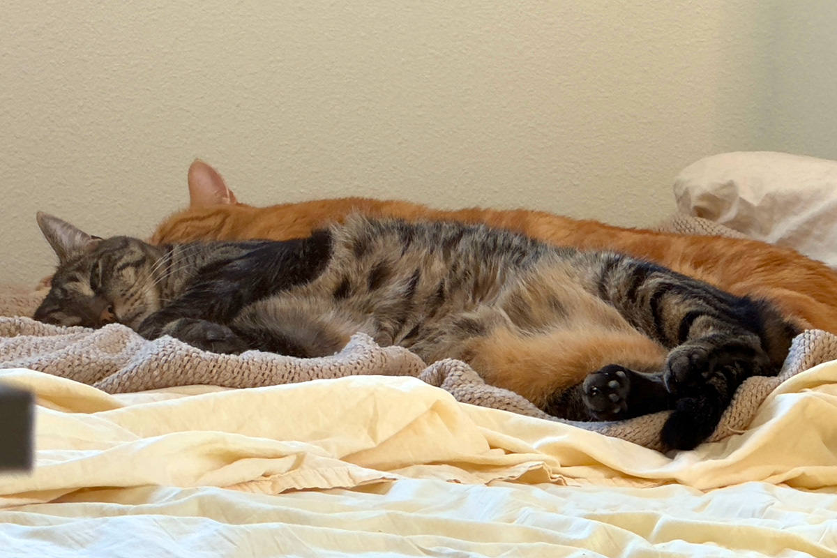 Jake and Jenny crashed on my bed.