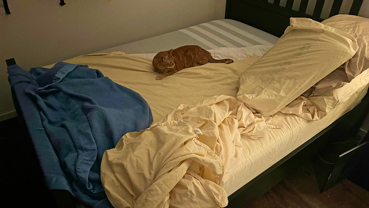 Jenny looking at all the bedding piling up around her on the bed.