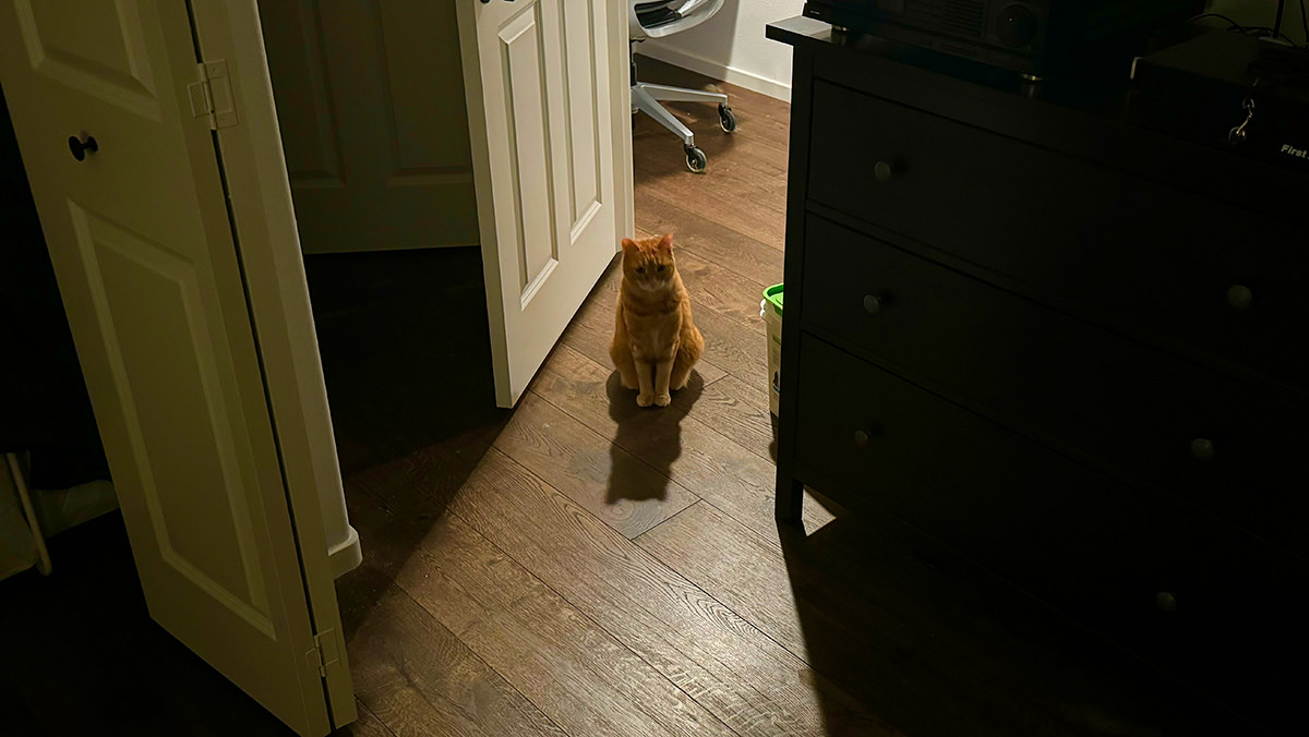 Jenny backlit staring at me from the doorway looking all mad.