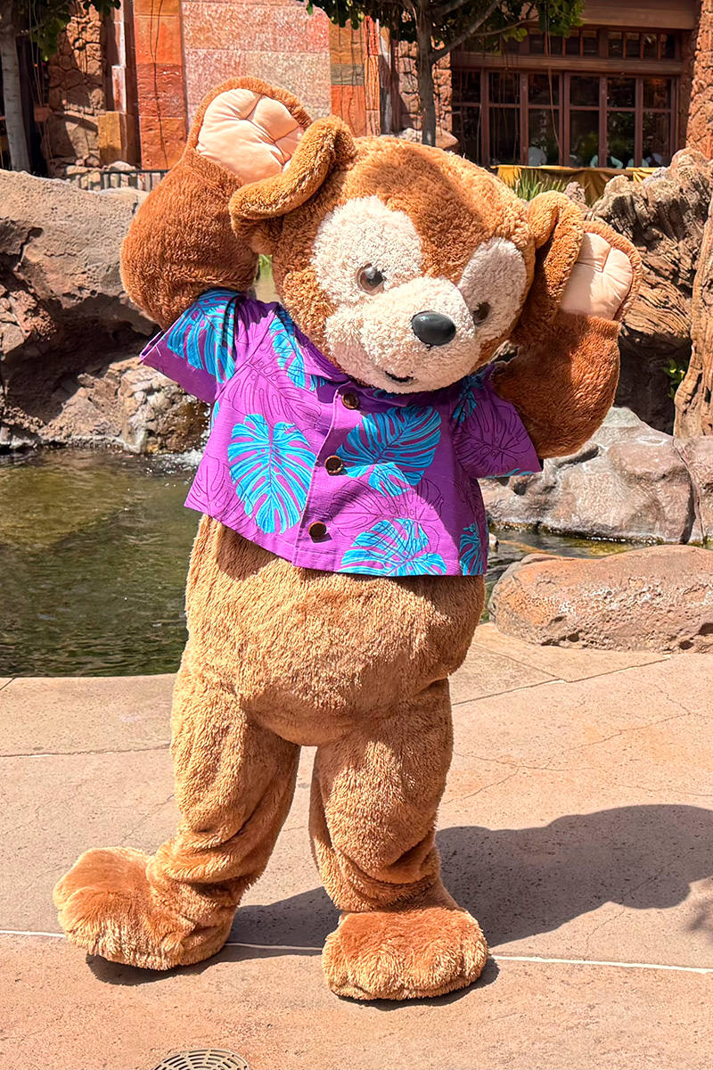 It's Duffy the Disney Bear