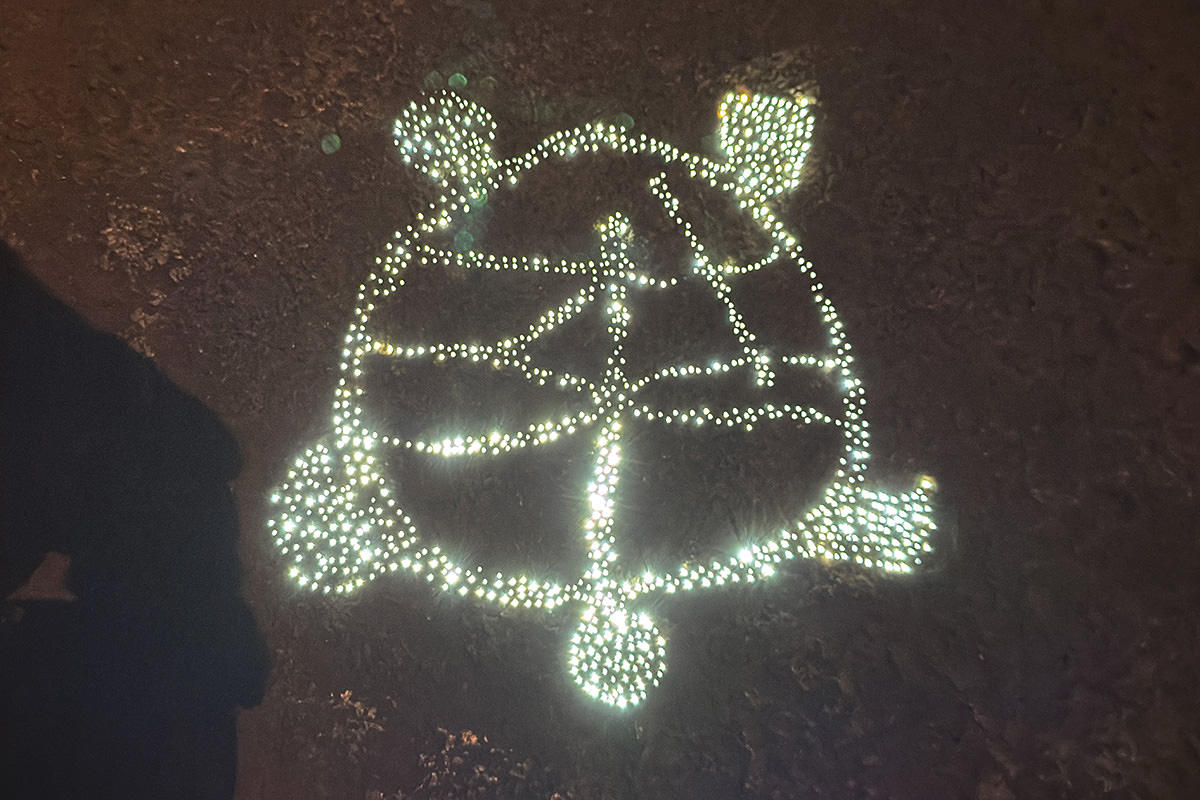 A Turtle Glowing on a Magical Rock!