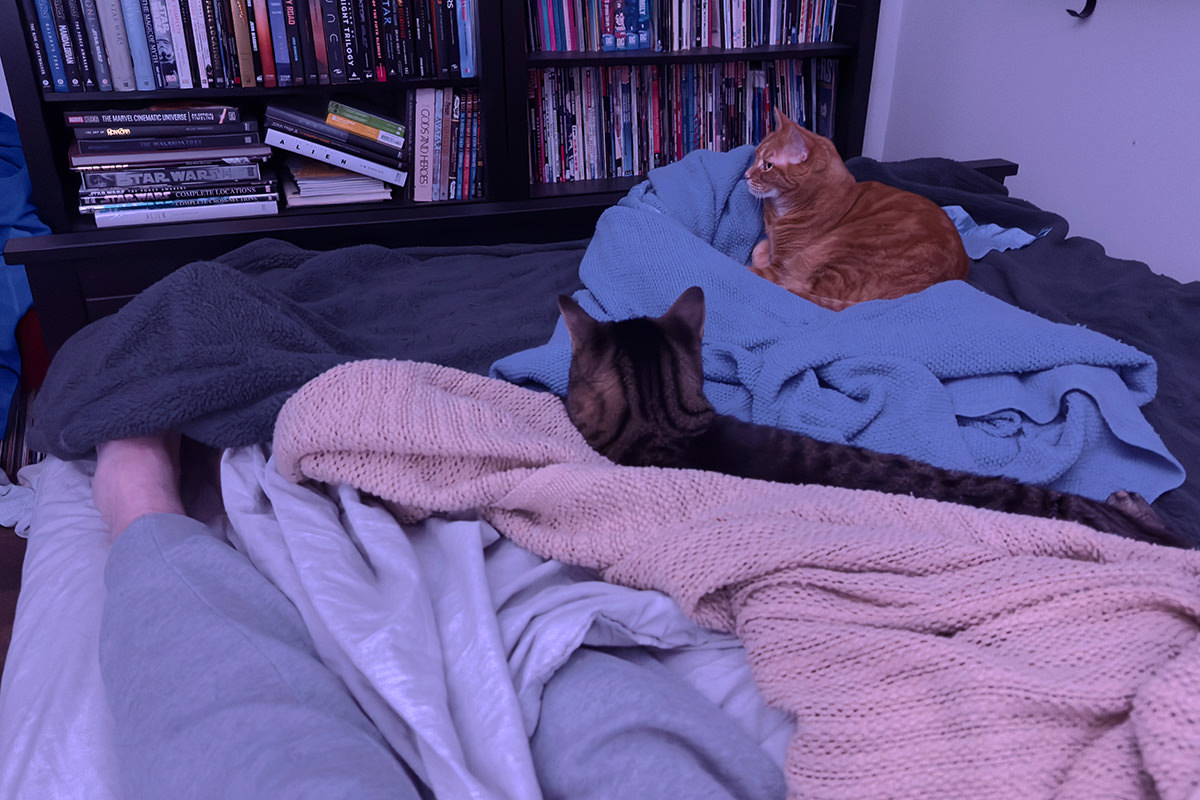 Me with my 1/4 of the bed while my cats occupy 3/4 of it.