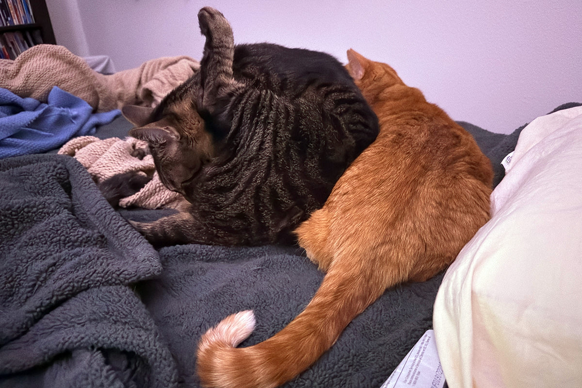 Jake cleaning his butt while propped up against his sister.