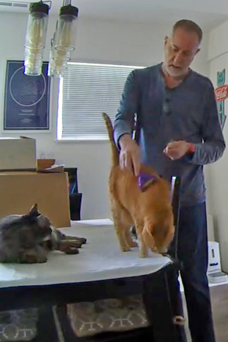Jenny getting Furminated.