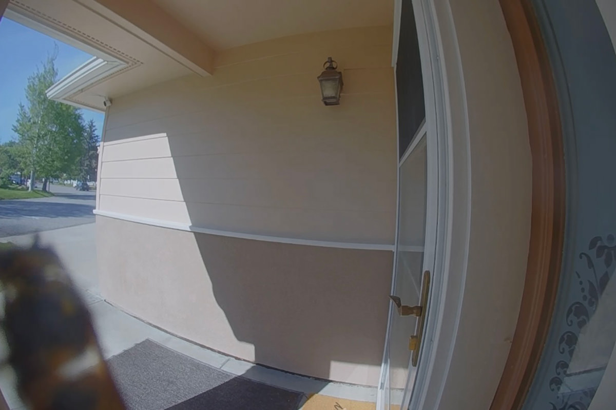 A wasp crawling on my door camera.