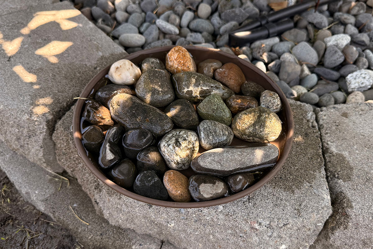 My bee watering station!