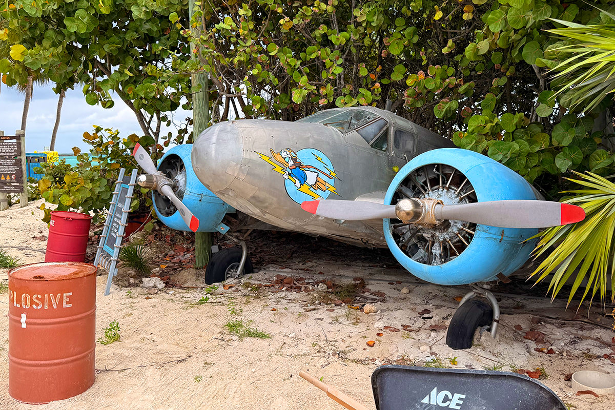 A fighter plane with Donald Duck painted on it