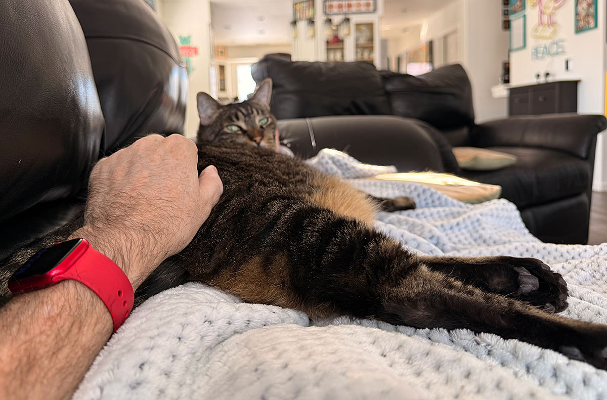 Jake sleeping on top of me.