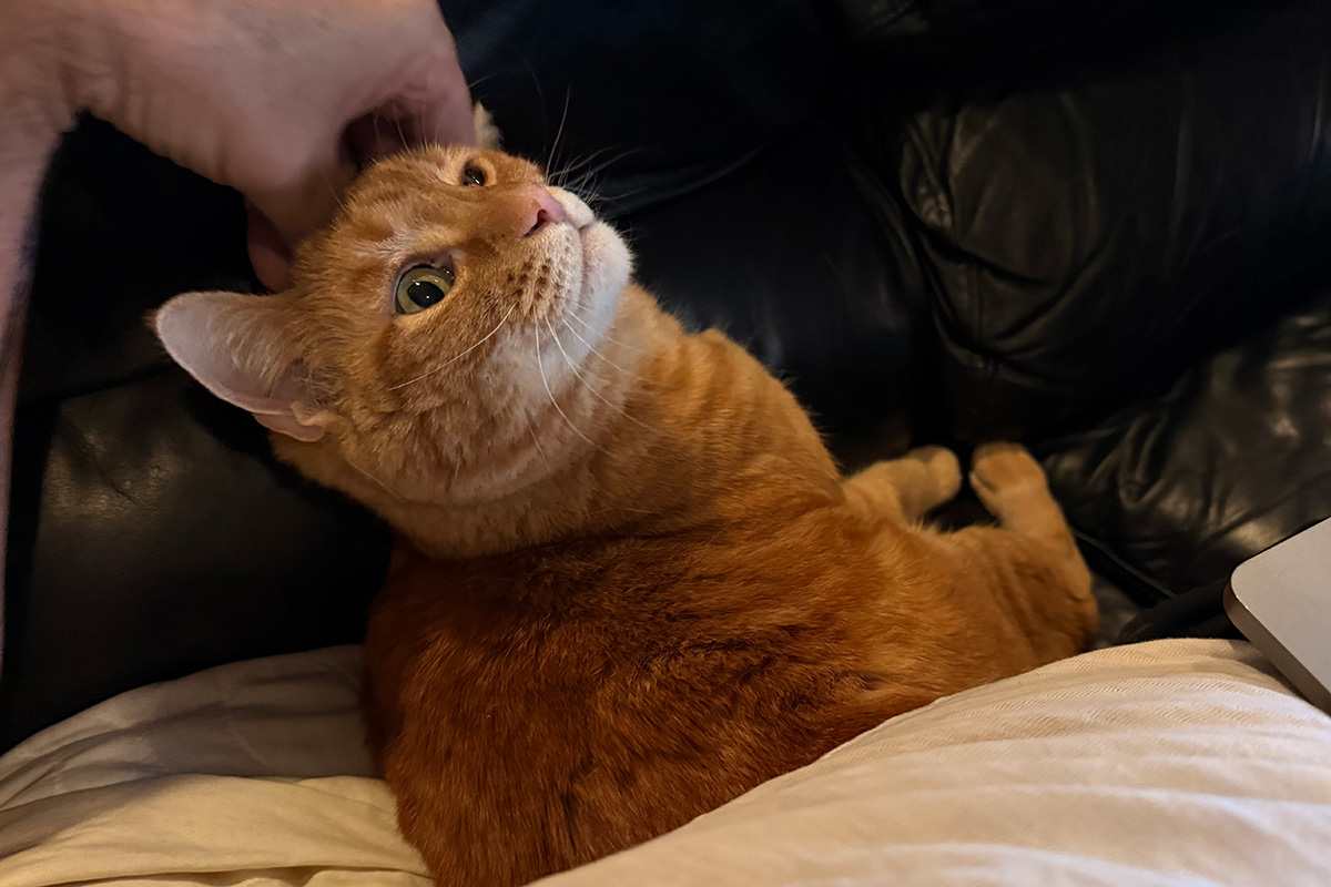 Jenny looking up at me