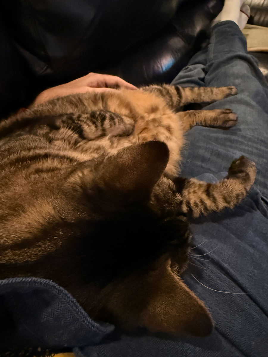 Jake on my lap again.