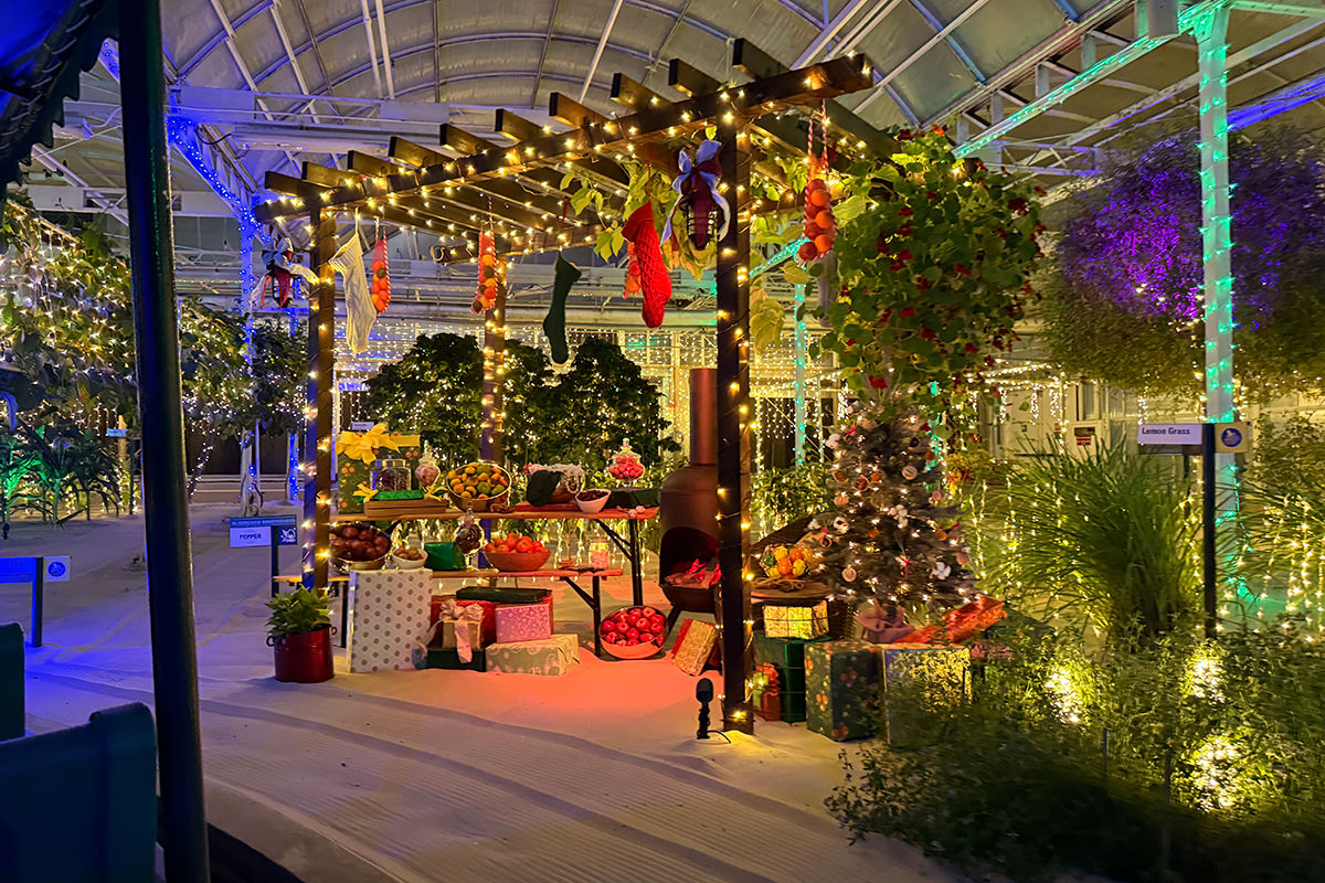 Inside the Glimmering Greenhouses