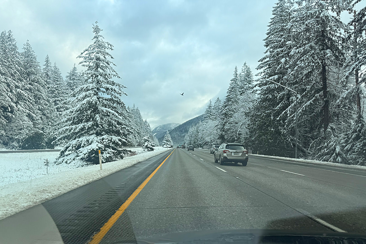 Snowy road home