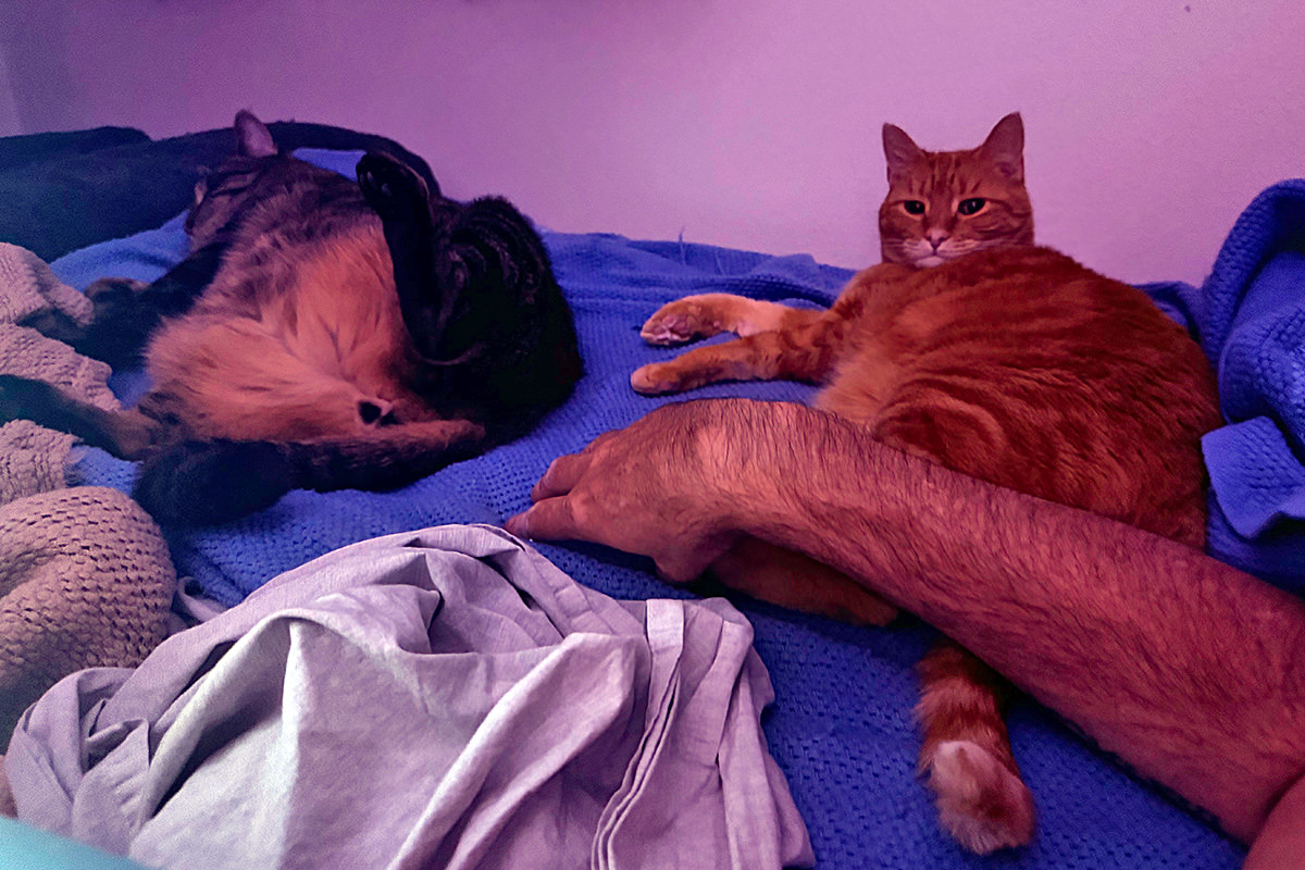 Jake and Jenny on my bed... Jake spread-eagle and Jenny getting a foot massage.