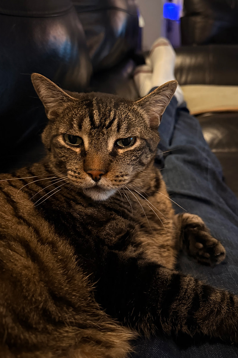 Jake annoyed that I woke him up.