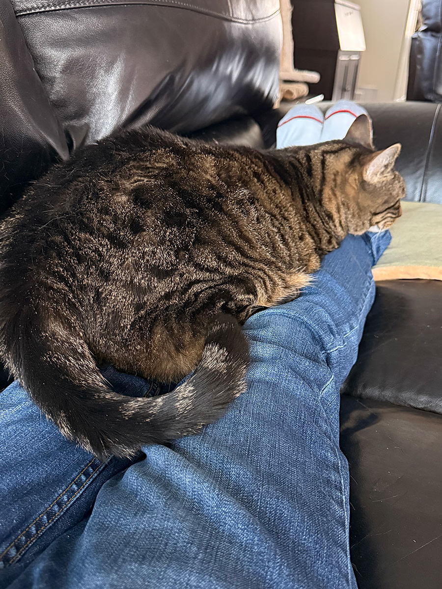 Jake on my Legs. Again.