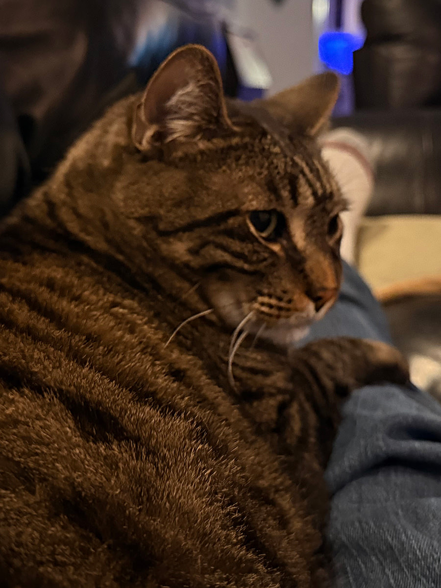 Jake on my Legs. Again.