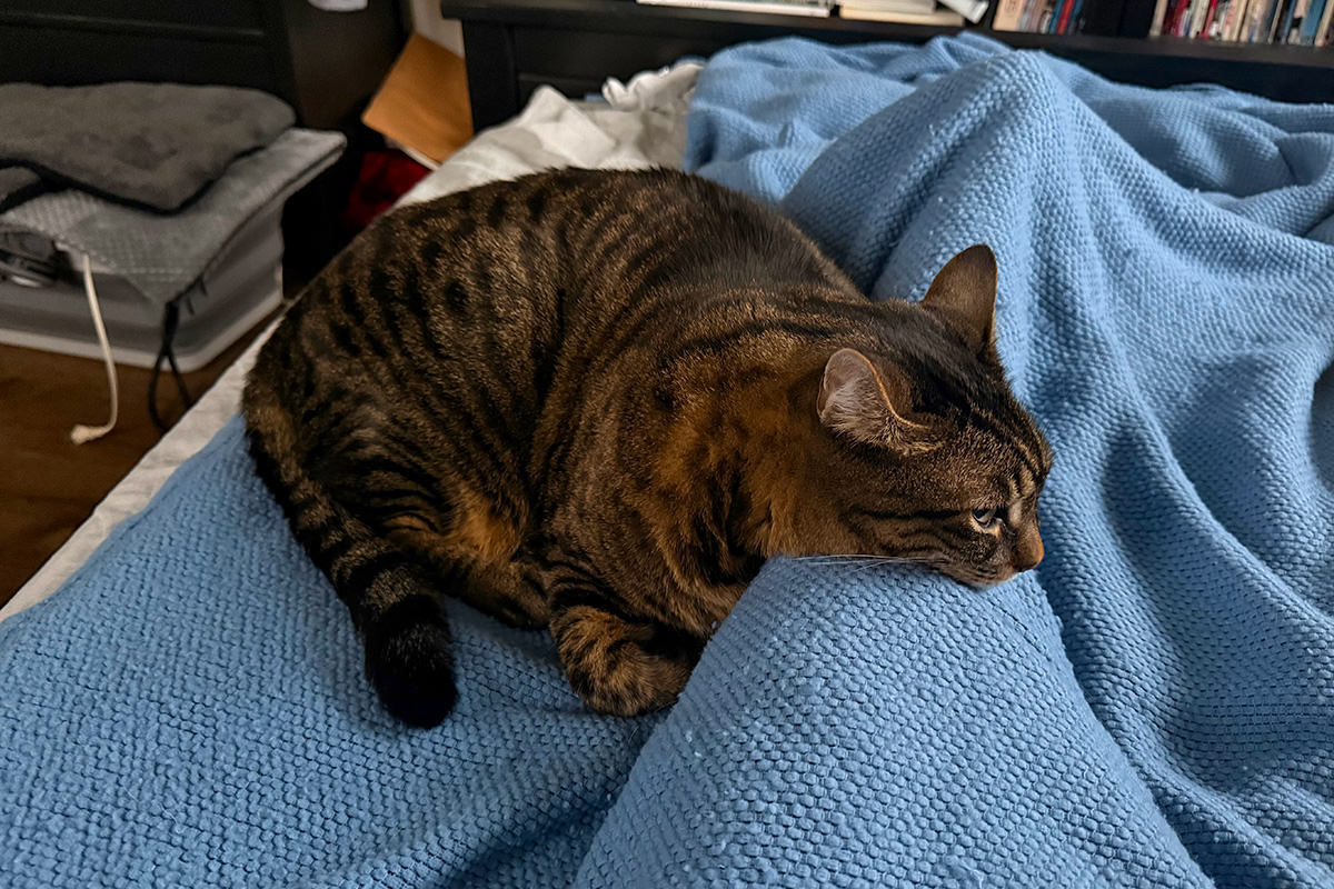 Jake laying his head on my legs.