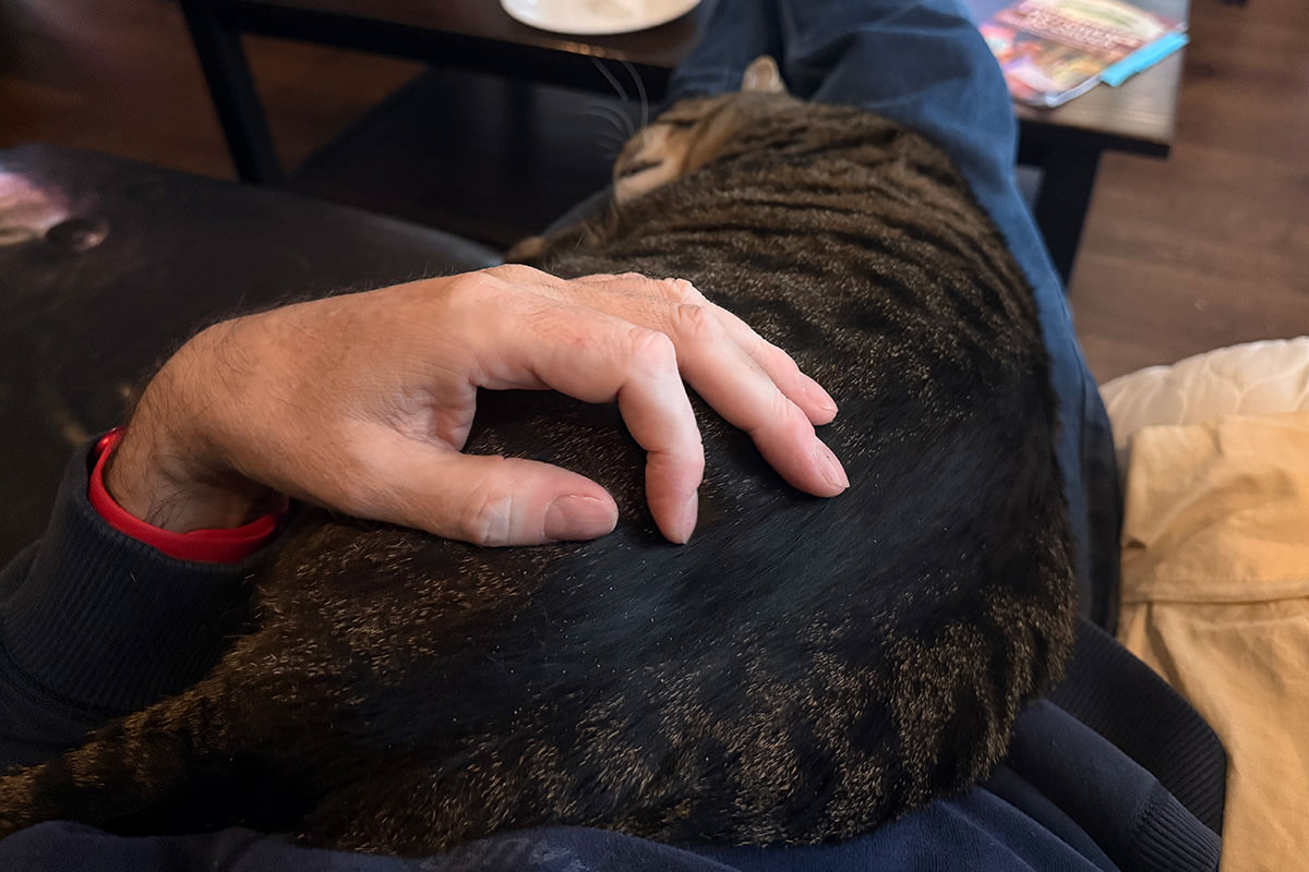 Jake asleep on my lap.