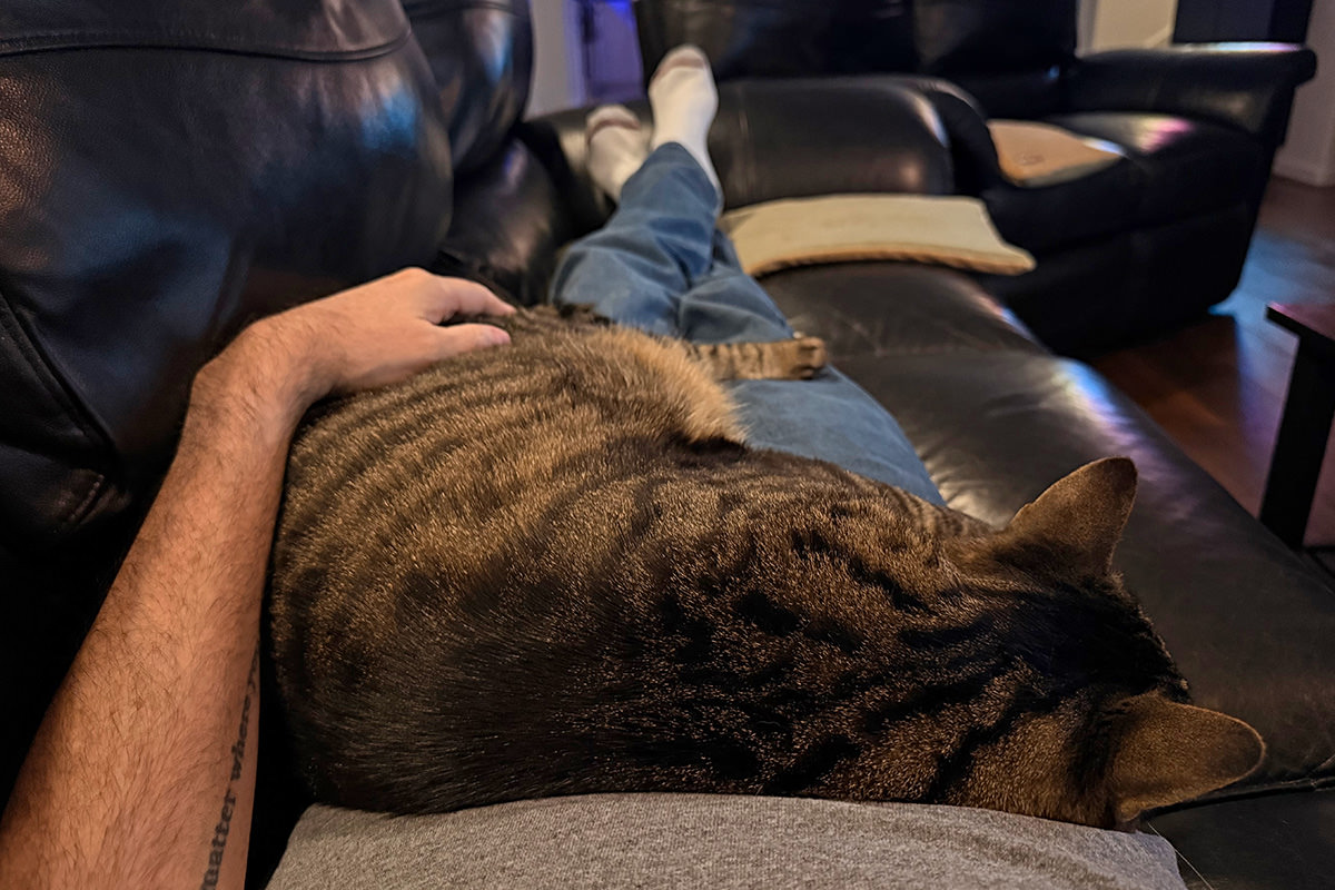 Jake asleep on my legs.