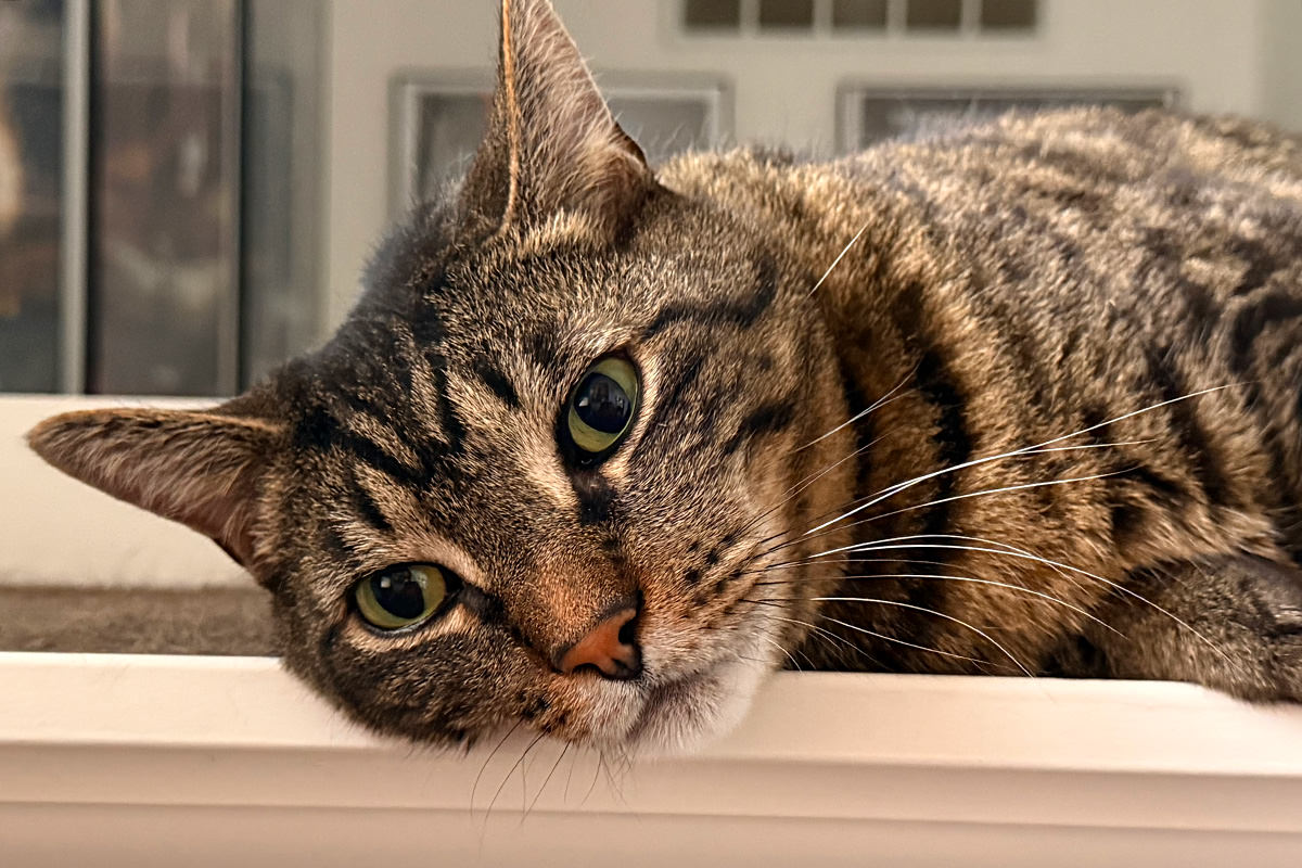 Jake staring at me from the banister.