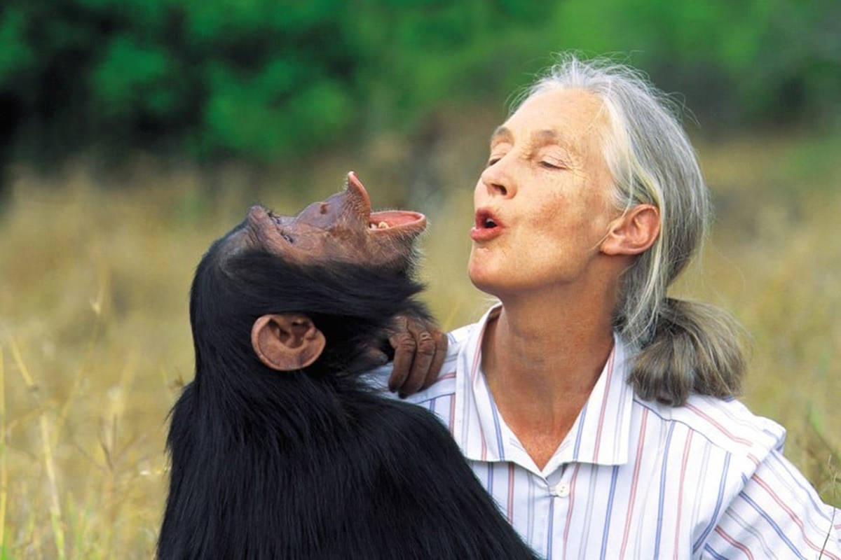 Jane Goodall