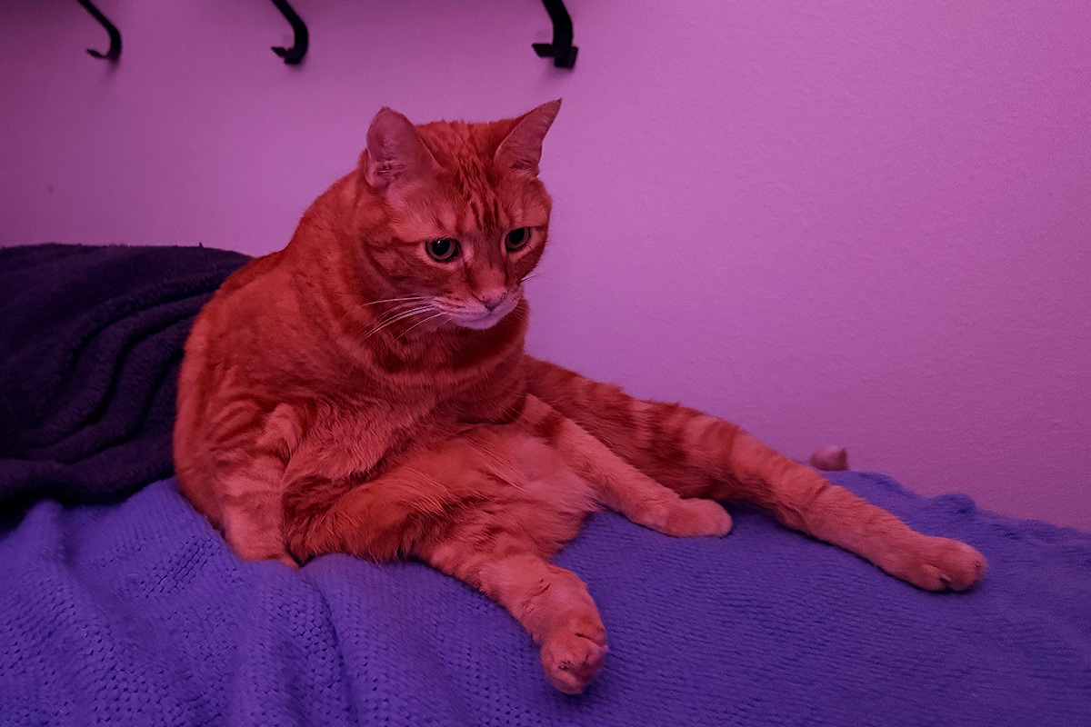 Jenny contemplating her life choices.