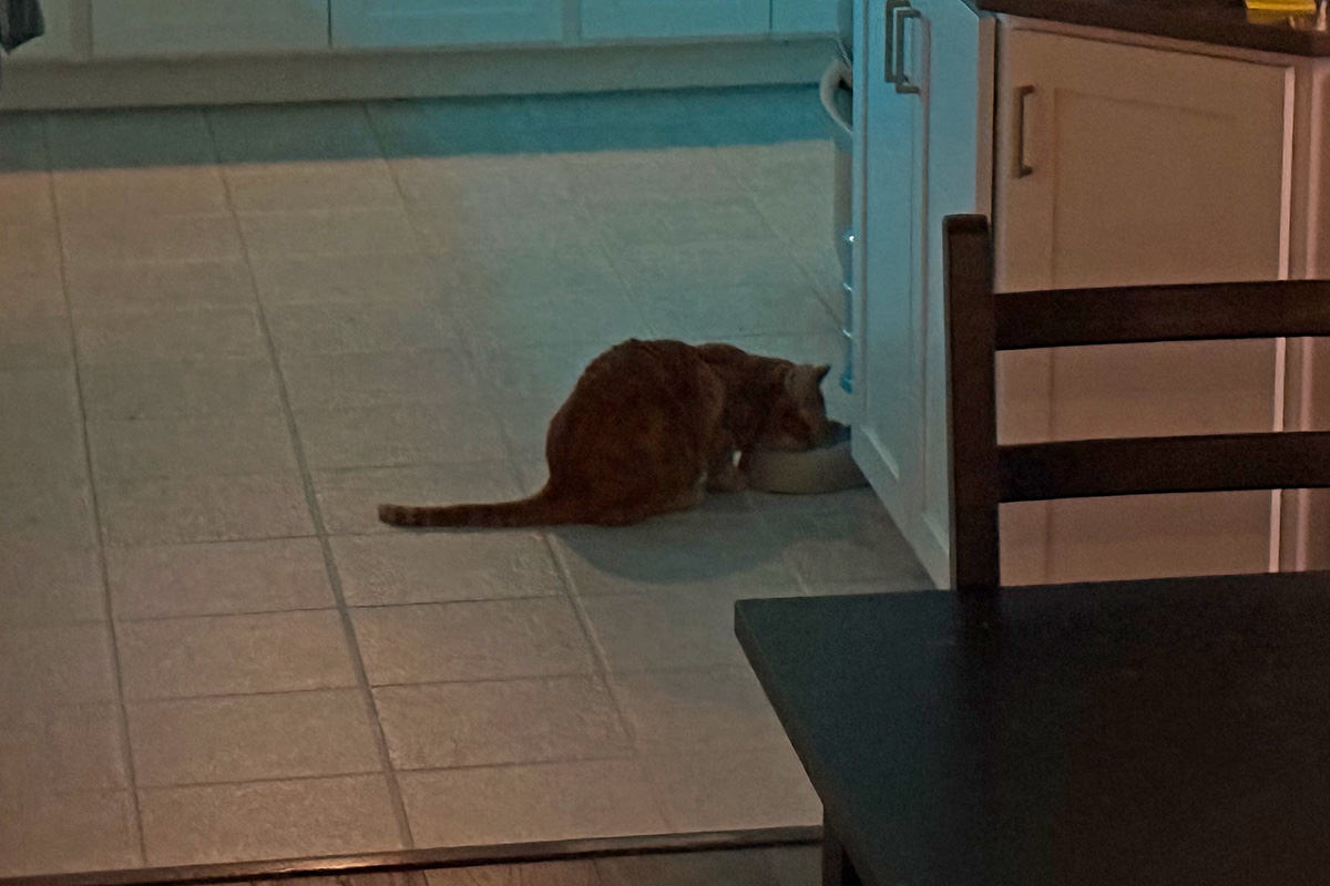 Watching Jenny drink in the kitchen.