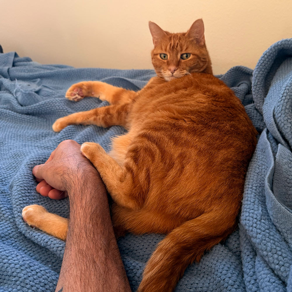 My arm being used as Jenny's foot rest.