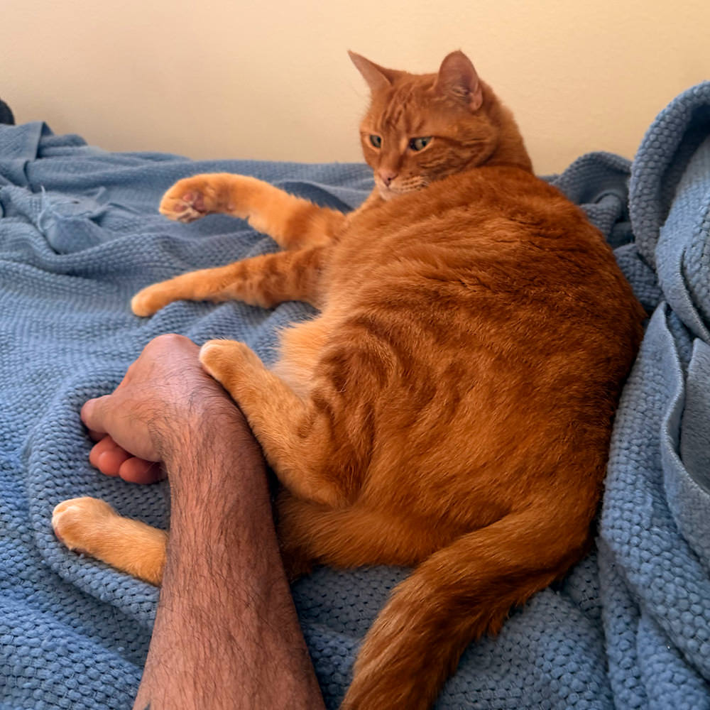 My arm being used as Jenny's foot rest.