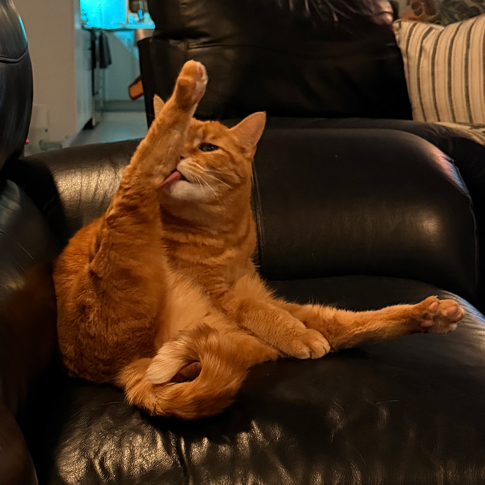 Jenny bathing those long legs!