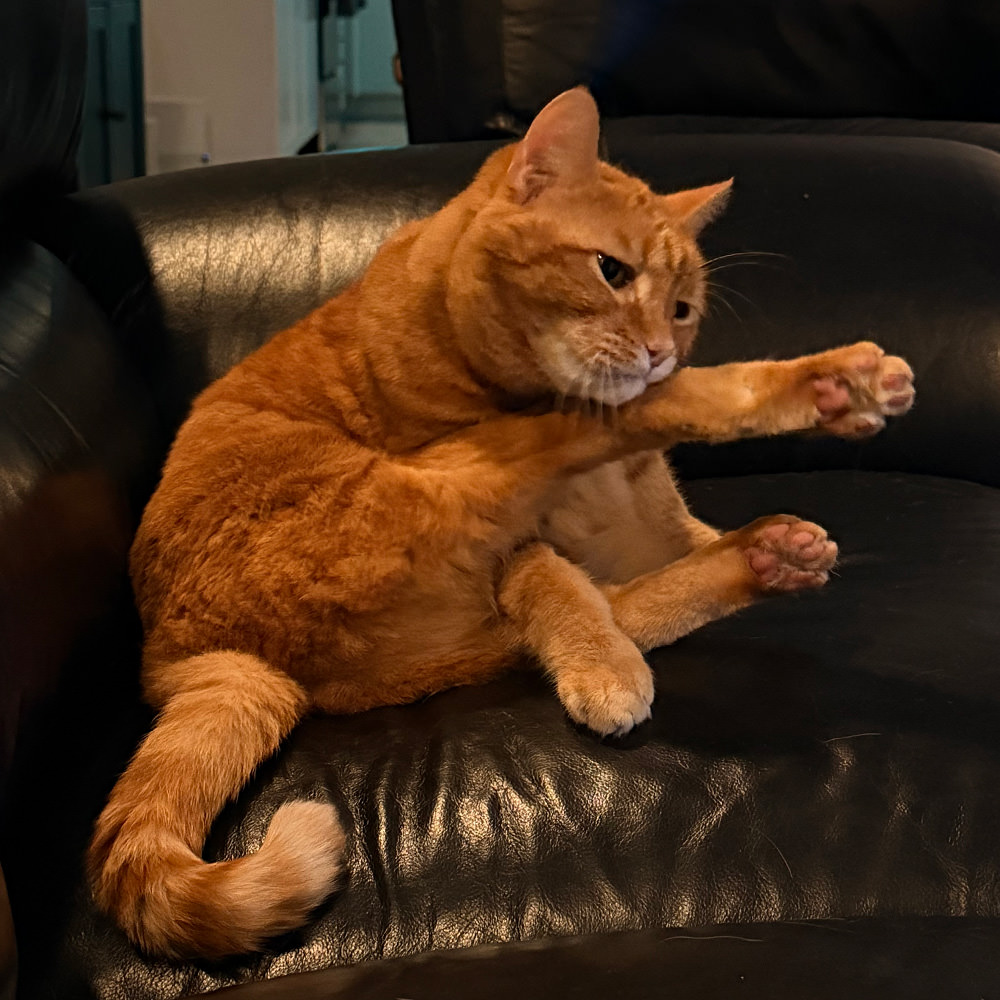 Jenny bathing those long legs!